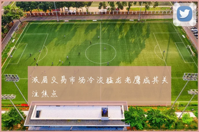 浓眉交易市场冷淡猛龙老鹰成其关注焦点