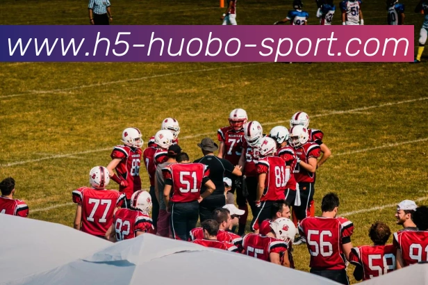 火博体育发展历程